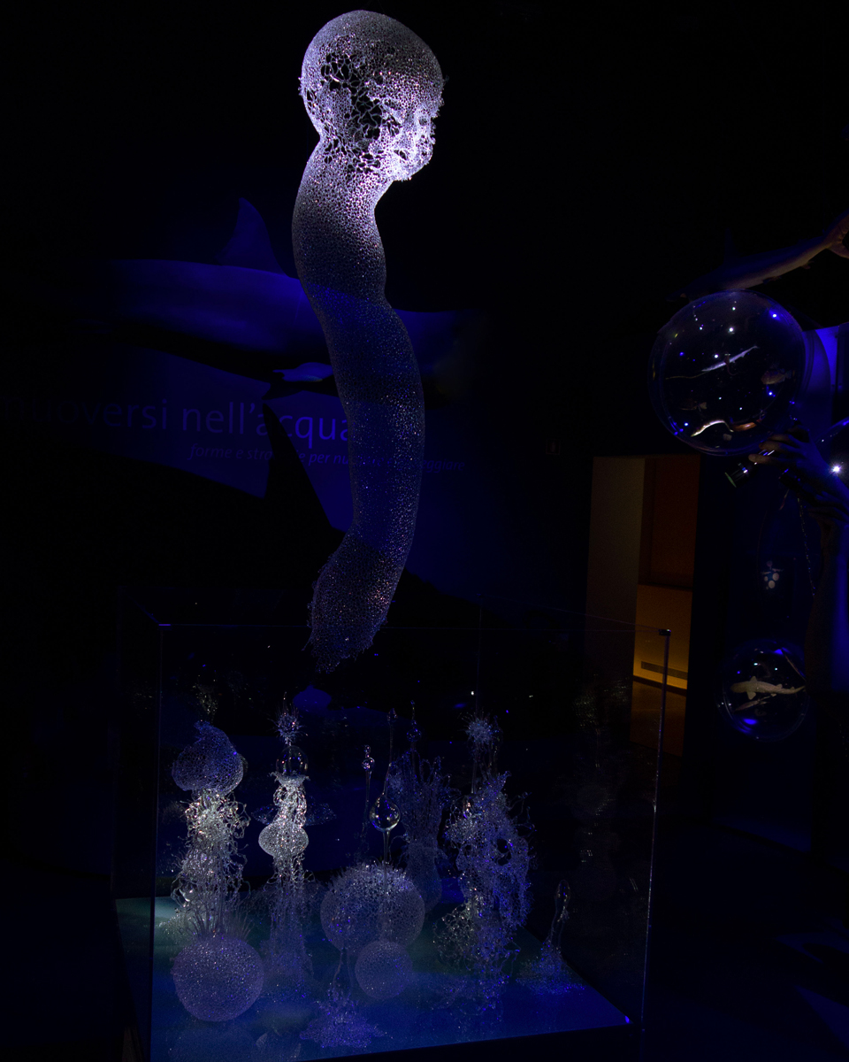 Kim KototamaLune at the Museum of Natural History  - GLASS WEEK